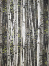 Load image into Gallery viewer, Birch Forest Book Holder/Cover