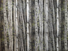 Load image into Gallery viewer, Birch Forest Book Holder/Cover