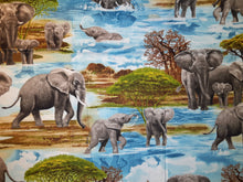 Load image into Gallery viewer, Africa's Giants Book Holder/Cover
