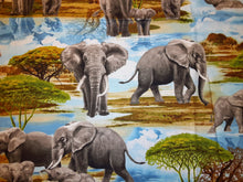 Load image into Gallery viewer, Africa's Giants Book Holder/Cover