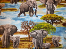 Load image into Gallery viewer, Africa's Giants Book Holder/Cover