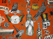 Load image into Gallery viewer, Trickery Book Holder/Cover