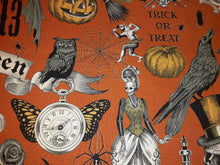 Load image into Gallery viewer, Trickery Book Holder/Cover