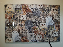 Load image into Gallery viewer, Owls Book Holder/Cover