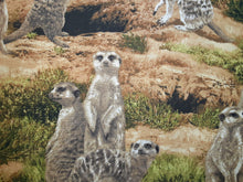 Load image into Gallery viewer, Born Free Meerkats Book Holder/Cover
