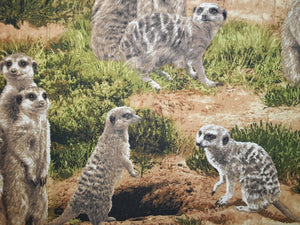 Born Free Meerkats Book Holder/Cover