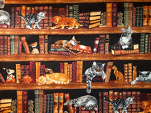 Load image into Gallery viewer, Cats in the Library Book Holder/Cover