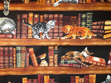 Load image into Gallery viewer, Cats in the Library Book Holder/Cover