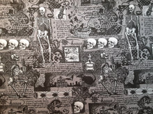 Load image into Gallery viewer, Skeletons &amp; Poison Book Holder/Cover