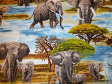 Load image into Gallery viewer, Africa&#39;s Giants Book Holder/Cover